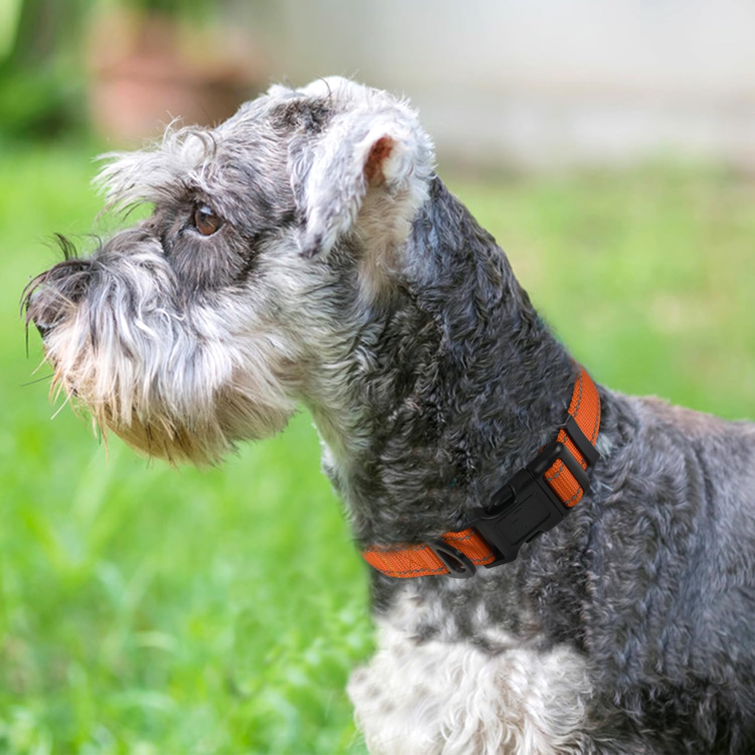 Reflective Dog Collar, Soft Neoprene Padded, Metal D-Ring, Nylon Pet Collar Adjustable for Medium Dogs, Orange, M