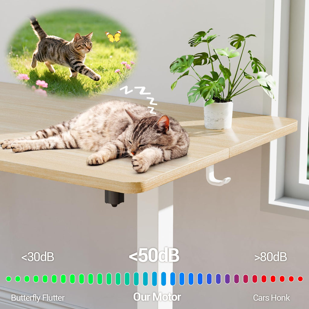 55 Inch Large Electric Standing Desk, 4 Memory Heights Adjustable,Sit to Stand Up, Work Home Office Computer Table for Study, Walking Pad, Writing, and Games, Wooden Desktop Desks, Nature Wood