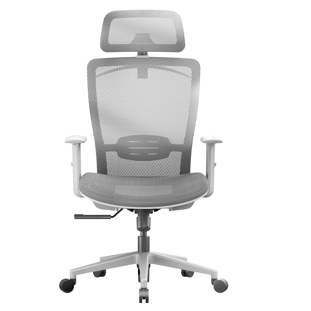 Ergonomic Office Chair Mesh Back Swivel Computer Chair Executive Office Desk Chairs with Adjustable Lumbar Support/2D Headrest/Lockable Backrest, Light Gray
