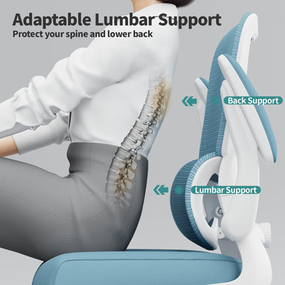 Office Chair - Ergonomic Desk Chair with Adjustable Lumbar Support, Mesh Computer Chair, Executive Chairs for Home Office Comfortable Lumbar Support,Sky Blue