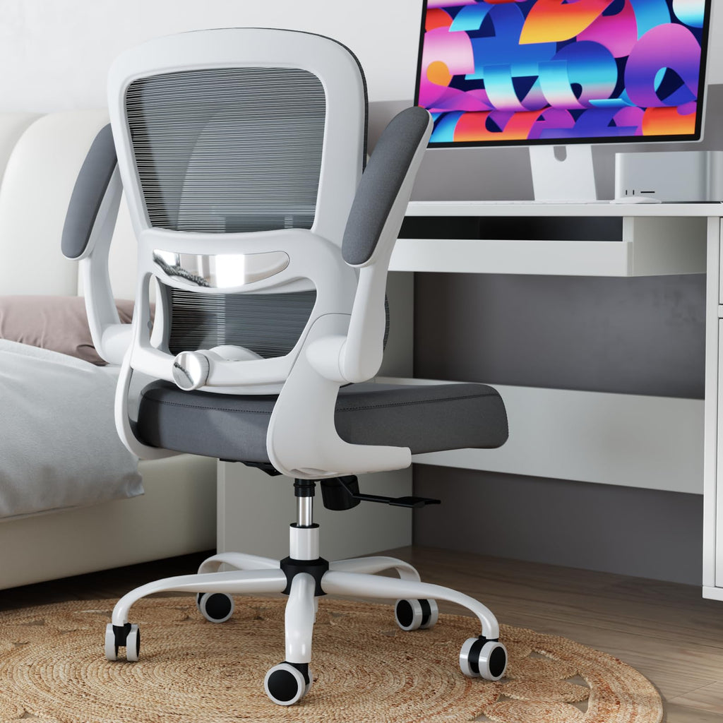 Office Chair - Ergonomic Desk Chair with Adjustable Lumbar Support, Mesh Computer Chair, Executive Chairs for Home Office Comfortable Lumbar Support (Ash Gray)