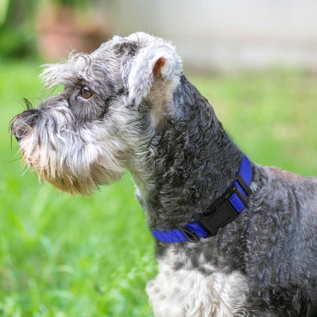 Reflective Dog Collar, Soft Neoprene Padded, Metal D-Ring, Nylon Pet Collar Adjustable for Small Dogs, Navy Blue, S