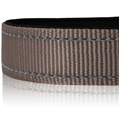 Reflective Dog Collar, Soft Neoprene Padded, Metal D-Ring, Nylon Pet Collar Adjustable for Small Dogs, Brown, Small