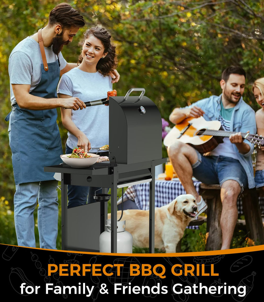 2-Burner Propane Gas BBQ Grill, 20,000 BTU Stainless Steel Grill with Side Shelves and Wheels, Portable Outdoor Grill for Patio, Backyard, Garden, or Camping Cooking