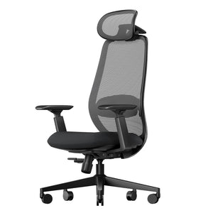 Ergonomic Office Chair – EC200 High-Back Mesh Computer Chair with Lumbar Support, 3D Adjustable Headrest & Sliding Seat for 8+ Hour Comfort, Big & Tall Home Office Desk Chairs - Black