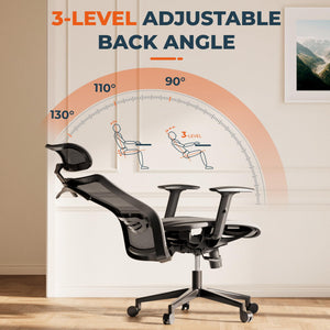 Ergonomic Office Chair Swivel Computer Chair Home Office Desk Chairs with Lumbar Support/2D Headrest/300lbs Heavy Duty/Lockable Back,Mesh Seat Cushion,ErgoChair Pro, Gray