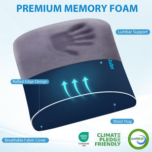 Lumbar Support Pillow for Office Chair, Car Seats and Home Desks, Ergonomic Back Support with Double Adjustable Straps, Machine Washable Cover, Blue