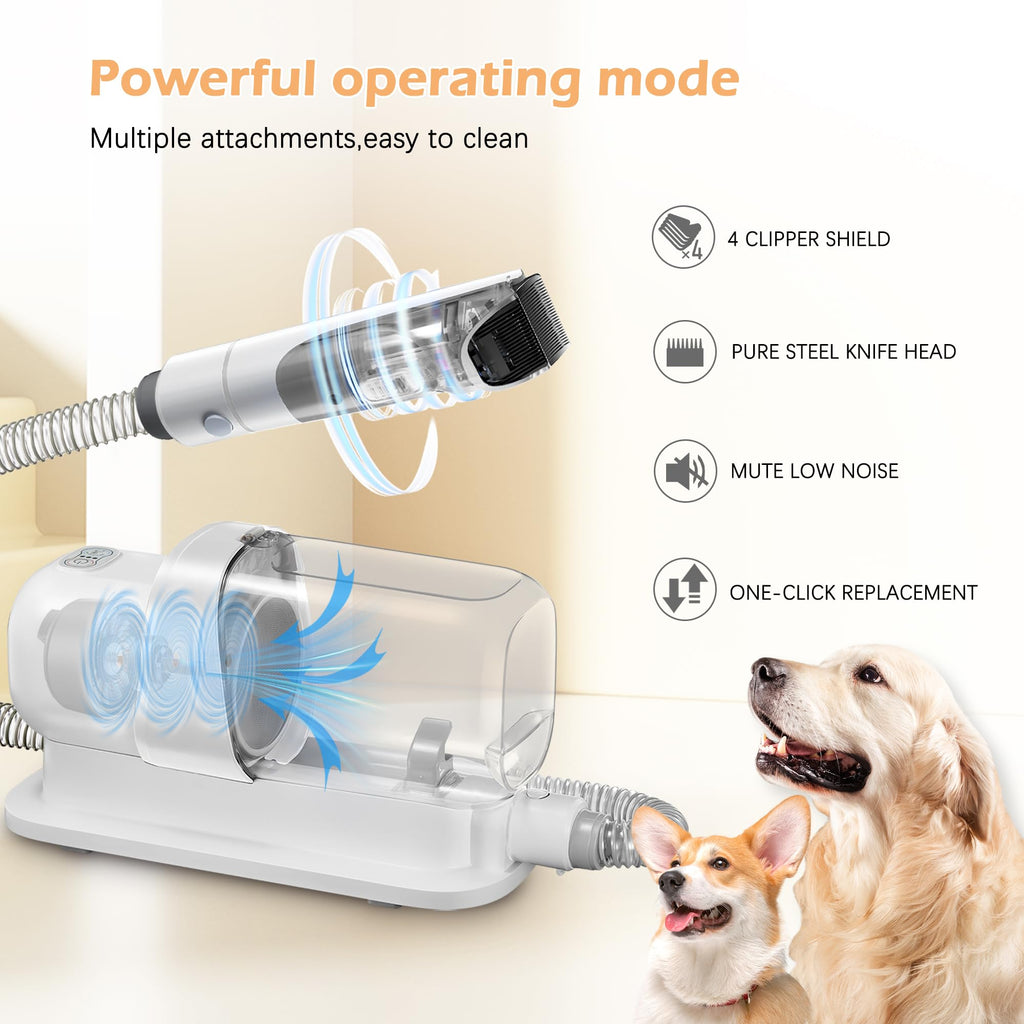 Grooming Kit with 2.3L Vacuum Suction 99% Pet Hair, Pet Grooming Vacuum Low Noise with 5 Tools and 4 Different Lengths Clipper Guards for Dog Cat (White)