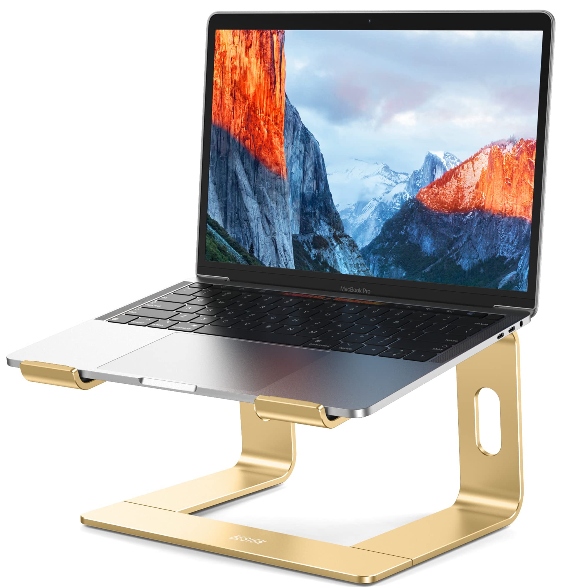 Aluminum Laptop Stand, Ergonomic Detachable Computer Stand, Notebook Riser, Laptop Mount Compatible with Air, Pro, Dell, HP, Lenovo More 10-15.6