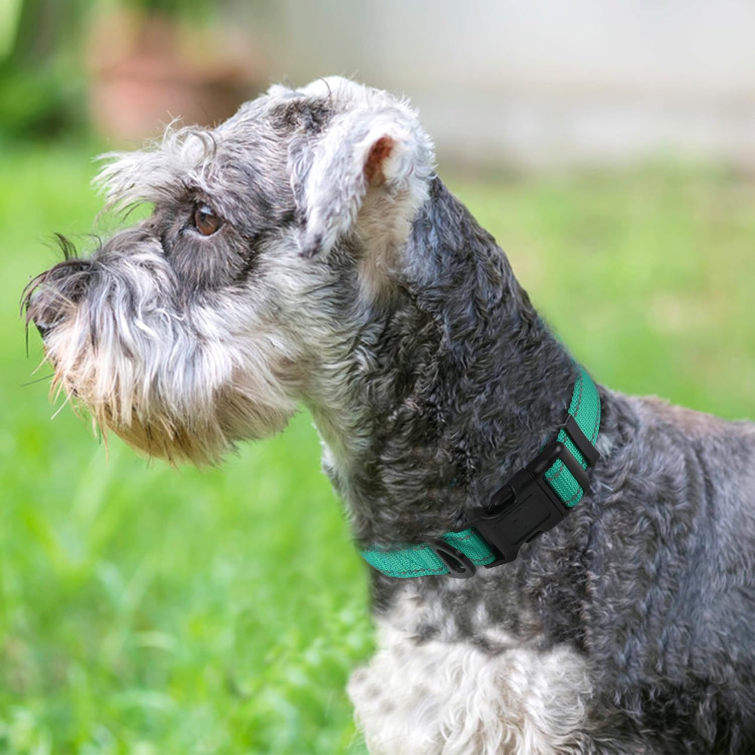 Reflective Dog Collar, Soft Neoprene Padded, Metal D-Ring, Nylon Pet Collar Adjustable for Medium Dogs, Teal, M