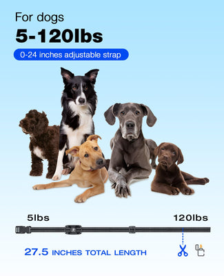 Dog Shock Collar - 3300Ft Training Collar with Remote for 5-120lbs Small Medium Large Dogs Rechargeable Waterproof e Collar with Beep (1-8), Shake(1-16), Safe Shock(1-99) Modes (Black)