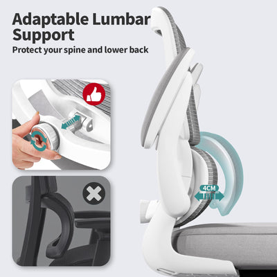 Office Chair - Ergonomic Desk Chair with Adjustable Lumbar Support, Mesh Computer Chair, Executive Chairs for Home Office Comfortable Lumbar Support (Ash Gray)