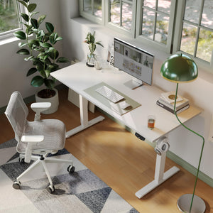 Electric Standing Desk, 48 x 24 Inches Height Adjustable Desk, Sit Stand up for Work Office Home, Ergonomic Rising Computer Table with Memory Preset, White
