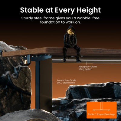 Height Adjustable Electric Standing Desk, 48 x 24 Inches Sit Stand up Desk, Memory Computer Home Office Desk, Dark Walnut