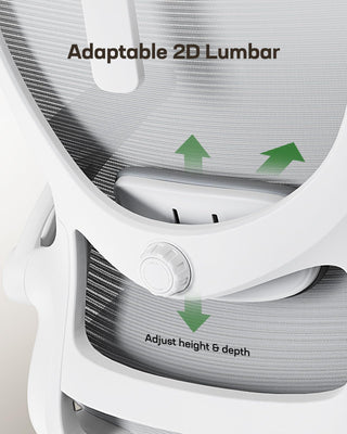 Ergonomic Office Chair: Office Computer Desk Chair with High Back Mesh and Adjustable Lumbar Support Rolling Work Swivel Task Chairs with Wheel 3D Armrests and Headrest