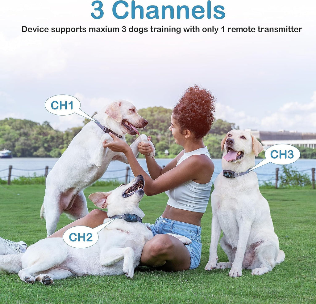 Dog Training Collar, Dog Shock Collar with Remote Control, 2500FT and 4 Training Modes Beep, Vibration, Electric Shock, IP67 Waterproof Rechargeable E-Collar for All Breed