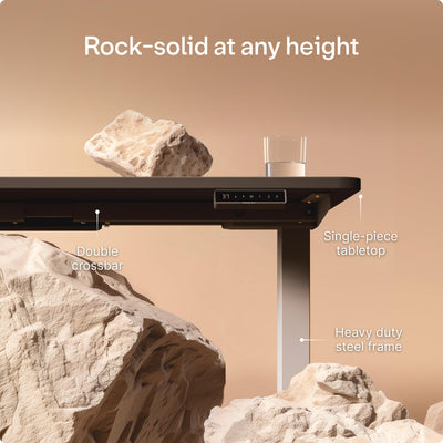 HomePro Standing Desk 54x28 — Made in Europe, Ergonomic Sit Stand Home Office Desk, Electric Height Adjustable, Dual Motor, USB & USB-C Charging, Wobble-Free, Touchscreen, 3 Memory Presets
