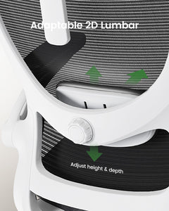 Ergonomic Office Chair: Office Desk Chair with High Back Mesh and Adjustable Lumbar Support Rolling Work Swivel Task Chairs with Wheel 3D Armrests and Headrest