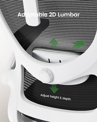 Ergonomic Office Chair: Office Desk Chair with High Back Mesh and Adjustable Lumbar Support Rolling Work Swivel Task Chairs with Wheel 3D Armrests and Headrest