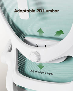 Ergonomic Office Chair: Office Desk Chair with High Back Mesh and Adjustable Lumbar Support Rolling Work Swivel Task Chairs with Wheel 3D Armrests and Headrest