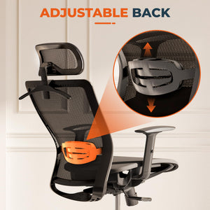 Ergonomic Office Chair Swivel Computer Chair Home Office Desk Chairs with Lumbar Support/2D Headrest/300lbs Heavy Duty/Lockable Back,Mesh Seat Cushion,ErgoChair Pro, Gray