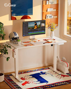 Height Adjustable Electric Standing Desk, 48 x 24 Inches Sit Stand up Desk, Memory Computer Home Office Desk, White