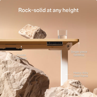 HomePro Standing Desk 54x28 — Made in Europe, Ergonomic Sit Stand Home Office Desk, Electric Height Adjustable, Dual Motor, USB & USB-C Charging, Wobble-Free, Touchscreen, 3 Memory Presets