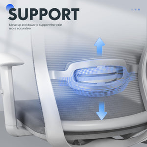 Ergonomic Office Chair, High Back Home Office Desk Chairs with Adjustable Lumbar Support, Armrests,90-130° Tilt Lock, Swivel Computer Gaming Chairs for Adults, OC3 Cloud, Light Gray
