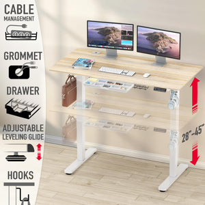 55 x 28 Inches Electric Height Adjustable Standing Desk with Drawer and Memory Preset, Maple