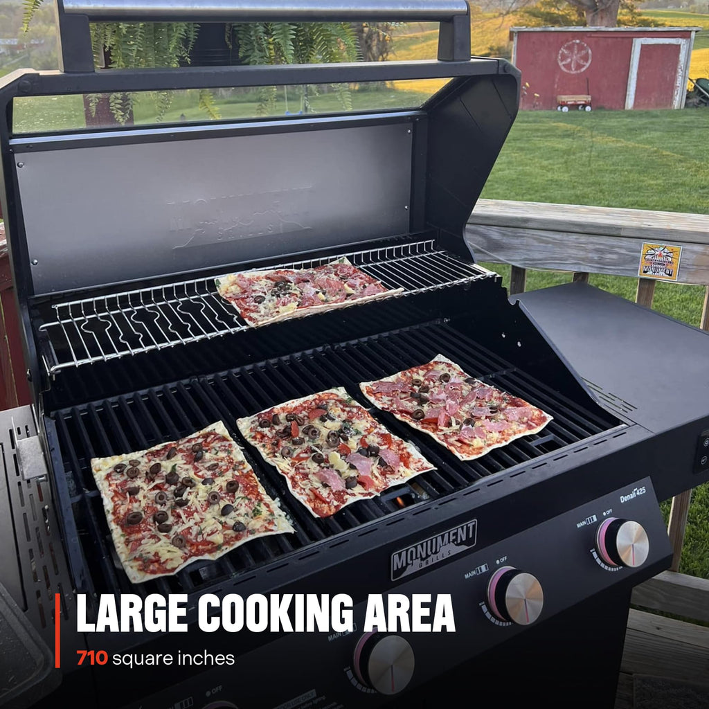 4+1 Liquid Propane Gas Smart BBQ Grill, 4 Burners & 1 Side Burner Denali 425 with Smart Technology and Knob Controls, Black