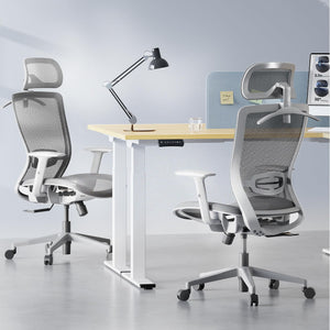 Ergonomic Office Chair Mesh Back Swivel Computer Chair Executive Office Desk Chairs with Adjustable Lumbar Support/2D Headrest/Lockable Backrest, Light Gray