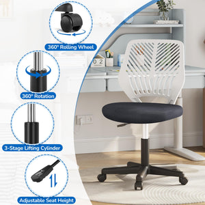 Students Cute Desk Chair Low-Back Armless Study Chair w/Lumbar Support Adjustable Swivel Chair in Home Bedroom School, Dark Gray