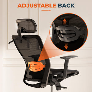 Ergonomic Office Chair Swivel Computer Chair Home Office Desk Chairs with Lumbar Support/2D Headrest/300lbs Heavy Duty/Lockable Back,Mesh Seat Cushion,ErgoChair Pro, Black