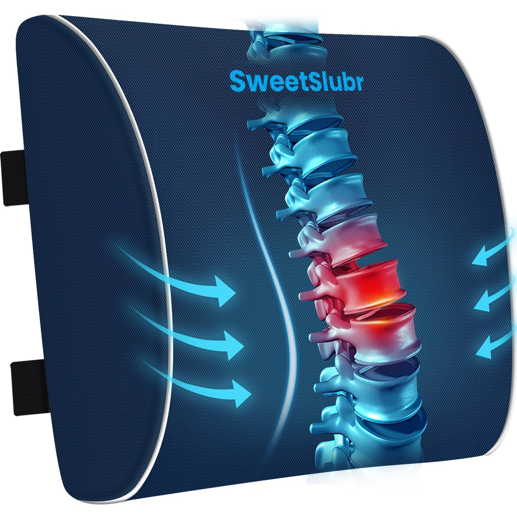 Lumbar Support Pillow for Office Chair, Car Seats and Home Desks, Ergonomic Back Support with Double Adjustable Straps, Machine Washable Cover, Blue