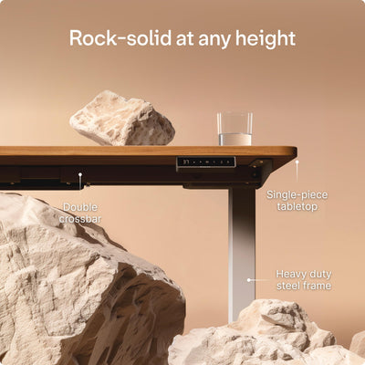 HomePro Standing Desk 54x28 — Made in Europe, Ergonomic Sit Stand Home Office Desk, Electric Height Adjustable, Dual Motor, USB & USB-C Charging, Wobble-Free, Touchscreen, 3 Memory Presets