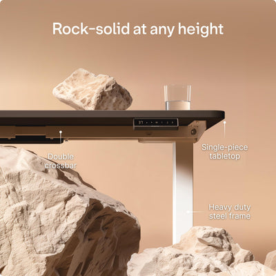 HomePro Standing Desk 54x28 — Made in Europe, Ergonomic Sit Stand Home Office Desk, Electric Height Adjustable, Dual Motor, USB & USB-C Charging, Wobble-Free, Touchscreen, 3 Memory Presets