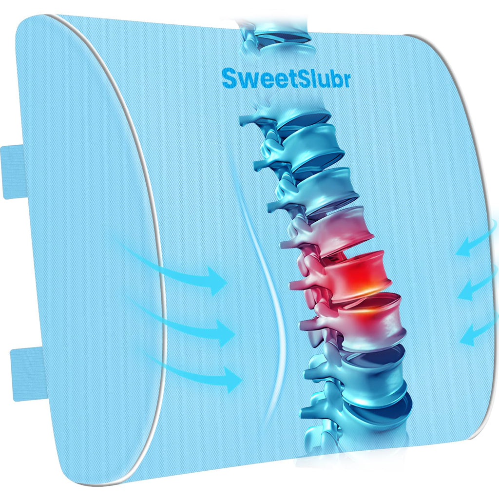 Lumbar Support Pillow for Office Chair, Car & Gaming Chair, Ergonomic Memory Foam Cushion for Back Comfort, Zoned Back Support, Double Adjustable Straps,Breathable Washable Cover,Light Blue