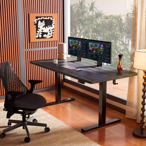 Height Adjustable Electric Standing Desk, 55 x 28 Inches Sit Stand up Desk, Memory Computer Home Office Desk, Grey