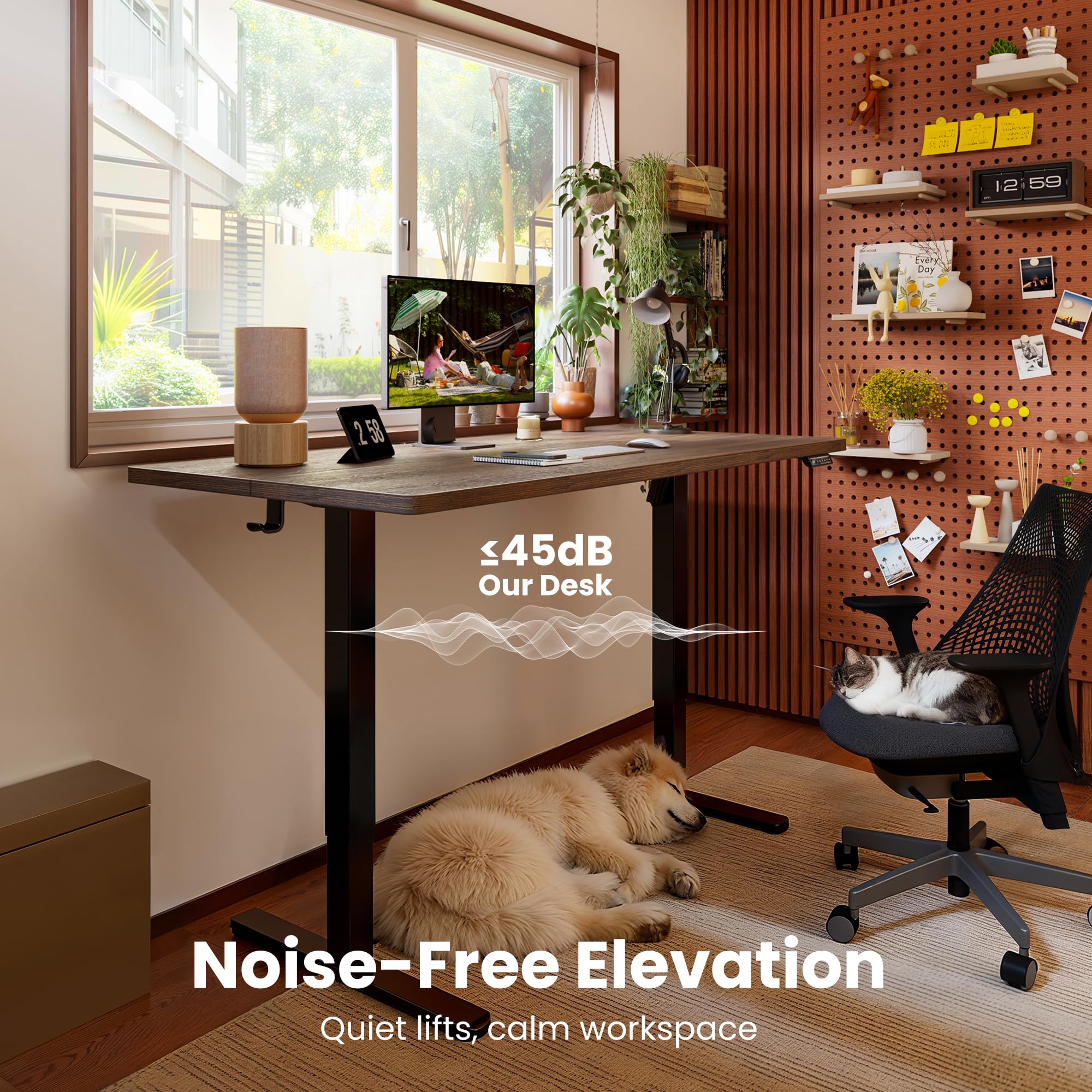Height Adjustable Electric Standing Desk, 48 x 24 Inches Sit Stand up Desk, Memory Computer Home Office Desk, Dark Walnut